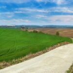 Kościół św. Michała Archanioła w Grodkowie: Przewodnik dla Zwiedzających i Zasady Zachowania