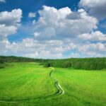 Sulisław i okolice: Pomysł na spokojny weekend z naturą i zabytkami