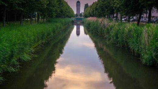 Ratusz w Grodkowie: historia symboli miejskich i najciekawsze zdobienia
